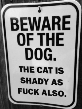 bewaredog bewaredog